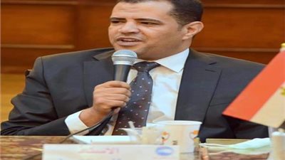 برلماني يطالب منظمات حقوق الإنسان الأجنبية باتخاذ 