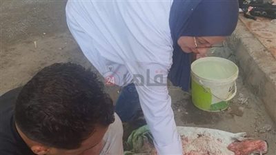 طبيبات الإسماعيلية البيطريات يتصدرن مشهد الإشراف على عمليات ذبح الأضاحي (صور)