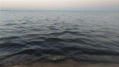 تلوث بترولي بالزيت الخام يغطي شاطئ سفاجا.. وتحذيرات من كارثة بيئية (صور وفيديو)