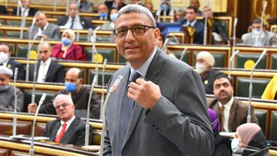 وكيل النواب: قدمنا 960 طلب إحاطة ووافقنا على 146 قانونًا و28 اتفاقية دولية