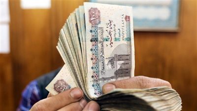 دراسة: 85% تراجع في 