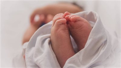 العثور على طفل حديث الولادة ملقاة على الطريق الزراعي بالدقهلية