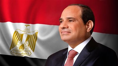 دراسة برلمانية ترصد تفاعل الرئيس السيسي مع السوشيال ميديا