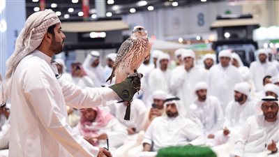 أبوظبي للصيد يسهّل إجراءات إدخال الصقور المُكاثرة في الأسر