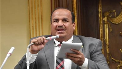 برلماني يطالب بتنفيذ التكليفات الرئاسية لتطوير قناة السويس والمنطقة الاقتصادية