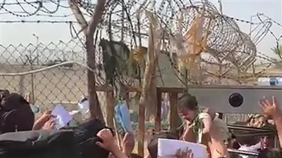 مأساة جديدة.. عائلات أفغانية تلقي بأطفالها من فوق الأسلاك الشائكة للهروب مع الجنود الأمريكيين