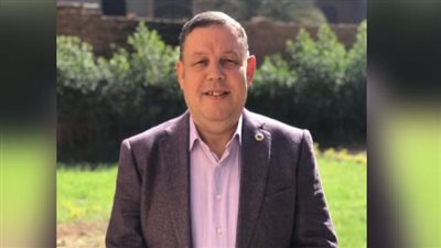 بعد رفع دعوى ضد الكهرباء.. عضو الهيئة العليا لـ الوفد يطالب باستبدال الشبكات المتهالكة في أوسيم 