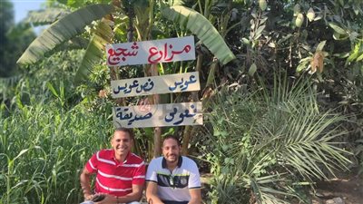 اقطف مانجتك بإيدك.. مبادرة جديدة للترويج للمانجو الإسمعلاوي 