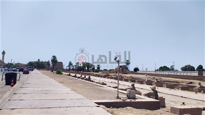 أمين الأعلى للآثار: اكتشاف بقايا كباش جديدة بمنطقة أبو عصبة في الأقصر| صور وفيديو