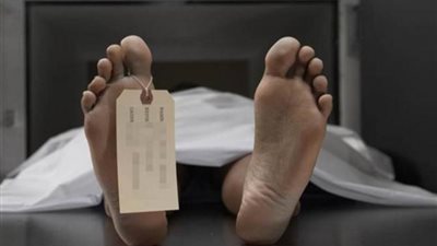 نشرة الحوادث.. مقتل زوجة حارس مزرعة وحبس متعدٍ على عاملة وتأجيل محاكمة سعاد الخولي