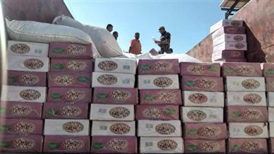 إحباط محاولة تهريب 10 أطنان من الفستق بـ6.5 مليون جنيه في ميناء دمياط