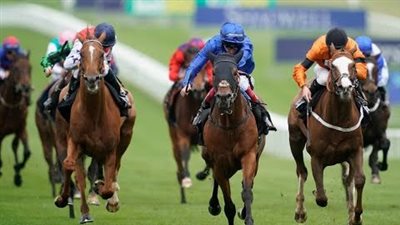 يجوز بشروط.. الإفتاء تكشف الحكم في أموال مسابقات الخيل والإبل