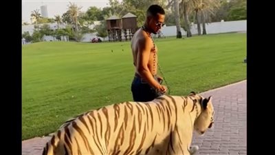 محمد رمضان بصحبة نمره الأبيض: فوق السحاب لا أسمع نباح الكلاب