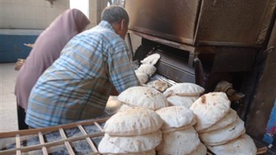 ضبط 900 كيس بطاطس محمرة منتهية الصلاحية بالإسماعيلية