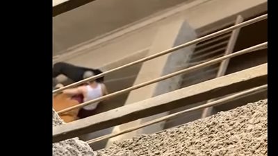 ضربه على وشه بطريقة وحشية.. حكاية الكلب كارلو وتعذيبه في المعادي | فيديو