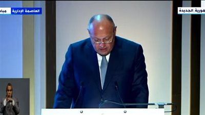 وزير الخارجية: الجامعات شاركت في وضع الاستراتيجية الوطنية لحقوق الإنسان 