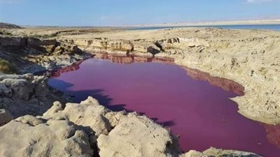 الطحالب كلمة السر.. خبير بيئة يكشف أسباب احمرار المياه في بركة بالأردن