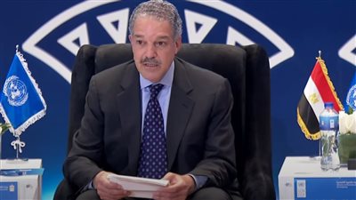 مسئول أممي: تقرير التنمية البشرية لمصر حيادي ويضعها بالمرتبة الأولى عالميًا