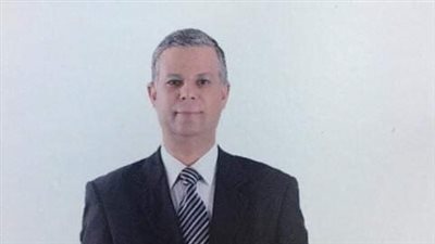 بيطري البحر الأحمر: خطة للقضاء على ظاهرة الحمير السائبة بشوارع الغردقة