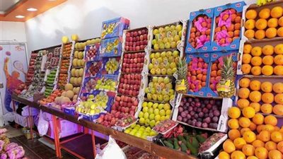 الطماطم بـ5.5 جنيه والبطاطس بـ6.. نقيب الفلاحين يكشف أسعار الخضراوات والفاكهة اليوم