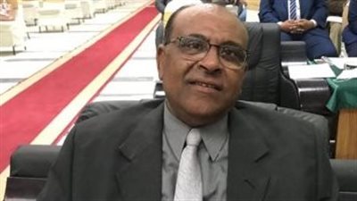 نقيب المناجم والمحاجر: تشكيل لجان مهنية لـ العمالة غير المنتظمة بالبحر الأحمر