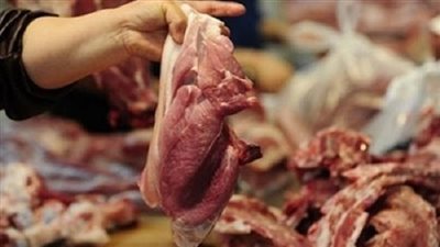 ضبط 7 أطنان برجر وهوت دوج فاسد داخل ثلاجة لحفظ السلع بالقليوبية 