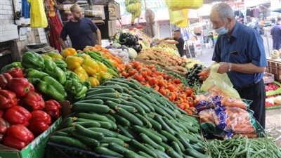 استقرار أسعار الطيور والخضروات داخل الأسواق اليوم الثلاثاء | بث مباشر 