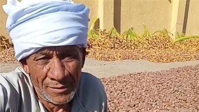 شيخ البلاحين بالأقصر: أعمل بمهنة تجفيف وتخزين البلح منذ 25 عامًا 