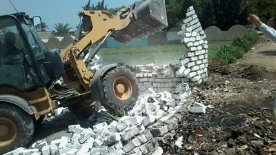 نقيب الفلاحين: إزالة التعديات يضيف للرقعة الزراعية 90 ألف فدان