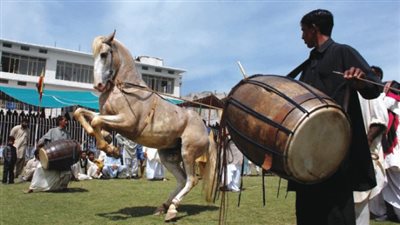 بالمزمار البلدي.. أهالي كوم حمادة يستقبلون وزير الرياضة خلال زيارته إلى البحيرة