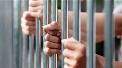 تأجيل محاكمة شقيقين لـ اتهامهما بقتل عشيق والدتهما بمنشأة ناصر لـ 20 نوفمبر