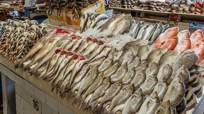 الجمبري بـ 65 جنيها والبوري بـ 40.. تعرف على أسعار الأسماك اليوم في أسواق الإسماعيلية