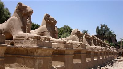 تعرف على آخر تجهيزات افتتاح طريق الكباش بالأقصر