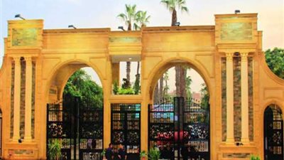 تقنية جديدة لتحويل الأوردة إلى شرايين بمؤتمر المنصورة لجراحة الأوعية الدموية