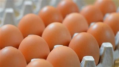  ارتفاع أسعار كرتونة البيض لـ54 جنيهًا.. وأحد التجار: خسائر الفترة الماضية أجبرت على غلق عدد من المزارع 