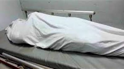 مصرع شخص وإصابة آخر في حادث تصادم بالدقهلية