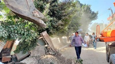 إزالة 62 حالة تعدٍ على أملاك الدولة بالشرقية | صور