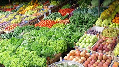 txt
