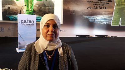 رئيس قطاع التخطيط بالري: أسبوع القاهرة للمياه يشهد زخما كبيرا رغم جائحة كورونا