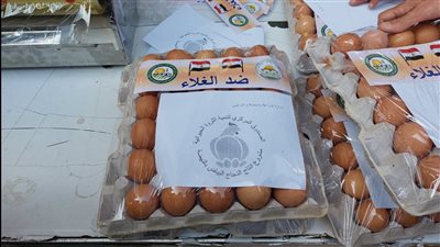 الزراعة تطرح البيض في منافذها بـ 45 جنيها │ صور 