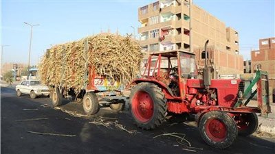 تصادم أتوبيس ركاب بمقطورة جرار محمل بالقصب في قنا 