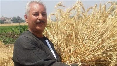 بعد إعلان تحديد أسعار القمح قبل الزراعة.. نقيب الفلاحين: نستورد 10 ملايين طن سنويا 