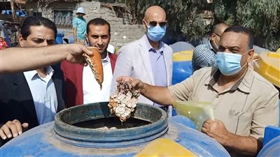 غلق مصنعين وإعدام 82 طن مخللات غير صالحة للاستهلاك بالشرقية 