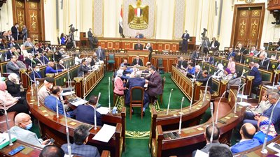 حقوق إنسان النواب تستعرض مستجدات وحدة حقوق الإنسان بوزارة التنمية المحلية | غدا