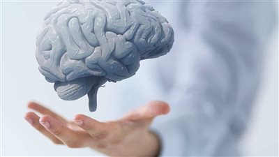 كيف يؤثر الإجهاد على صحة الدماغ؟.. دراسة جديدة تفجر مفاجأة