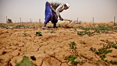 أستاذ بيئة صحراوية: العالم مقبل على كارثة نقص غذاء بسبب التغيرات المناخية