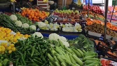الحجر الزراعي: وقف تصدير بعض المنتجات الزراعية إلى العراق