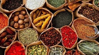 تعرف على أبرز الأعشاب لتقوية المناعة والقضاء على أمراض الشتاء