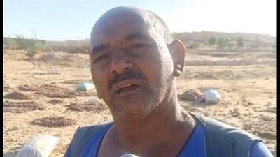 بث مباشر | تاجر بلح في أسوان: تلف 30% من المحاصيل بسبب الأمطار والسيول