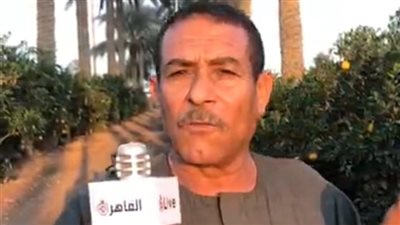بث مباشر| مزارعو الموالح بـ القليوبية يشكون من نقص الكيماوي والمبيدات: بنعاني من سنتين 